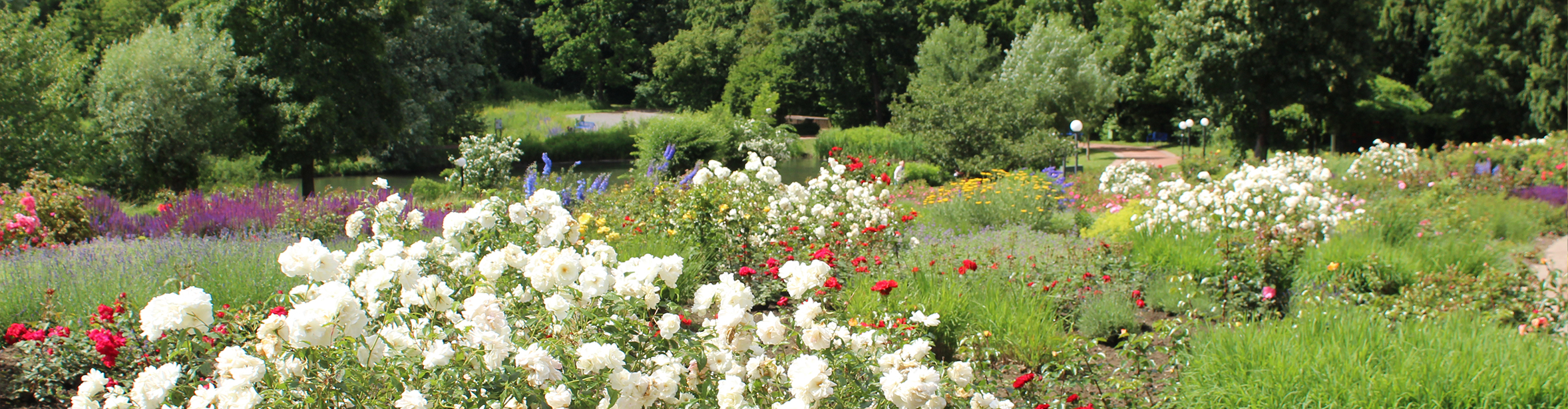 Rosengarten Bad Sassendorf